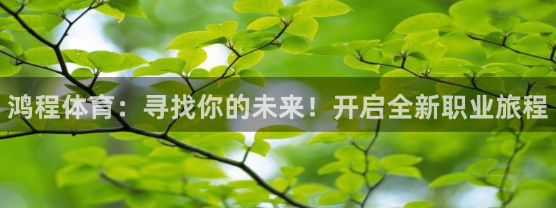 678体育官网
