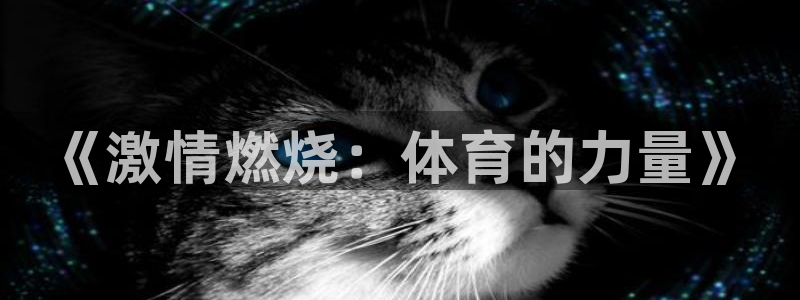 678体育