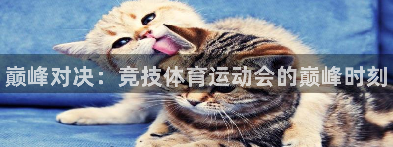 678体育官网地址