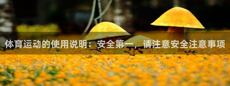 678体育官网地址