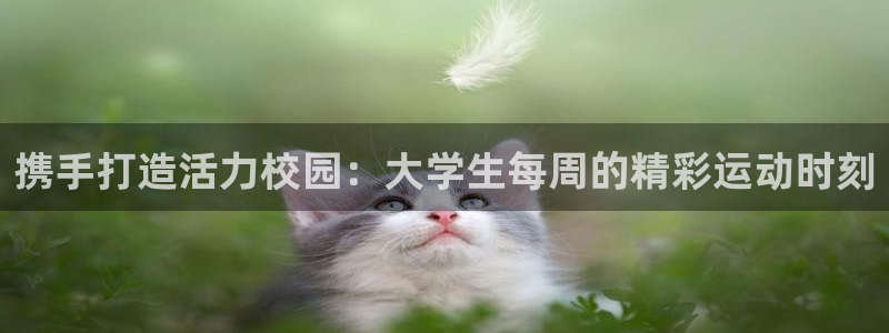皇冠678体育