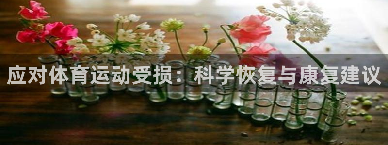 678体育官网