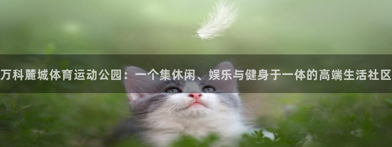 678体育app