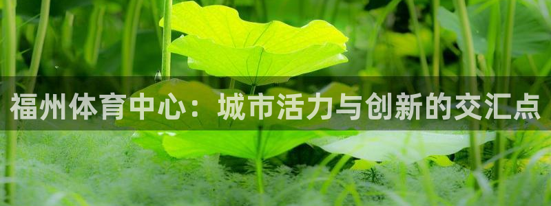 678体育官网下载