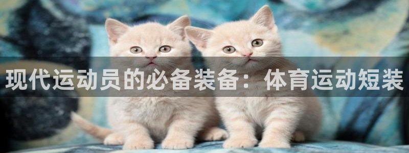 678体育官网