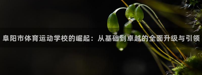 678体育知识