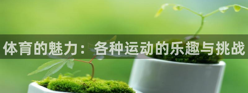 皇冠678体育