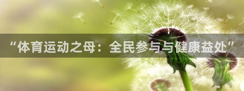 678体育app