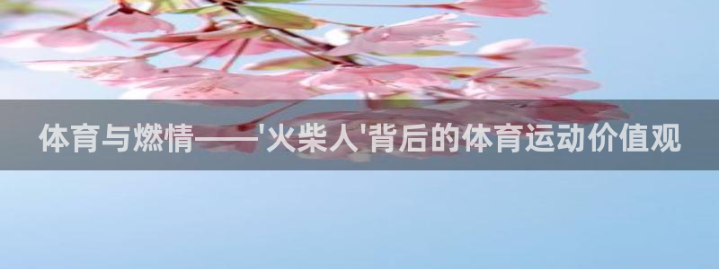 678体育