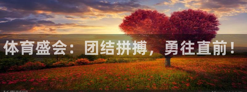 678体育官网