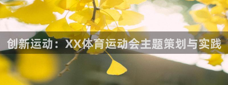 678体育官网